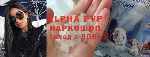 индика Козловка