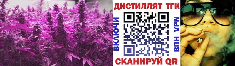 mega ссылка  Сычёвка  Дистиллят ТГК концентрат  где купить наркоту 